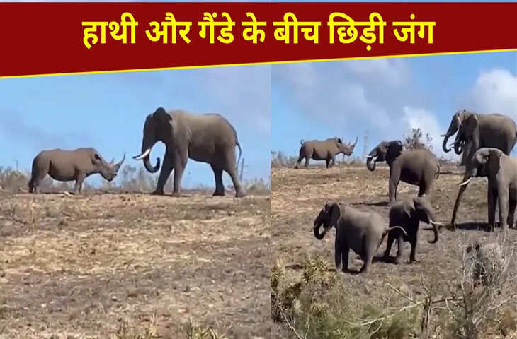  विशालकाय हाथी से भिड़ा गैंडा, फिर जो हुआ&hellip;हिम्मत देख आप भी कहेंगे &lsquo;वाह&rsquo;