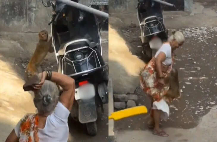 Viral Video: बंदर से पंगा लेने उतरी दादी, फिर जो हुआ वो देख आपकी भी नहीं रुकेगी हंसी&nbsp;