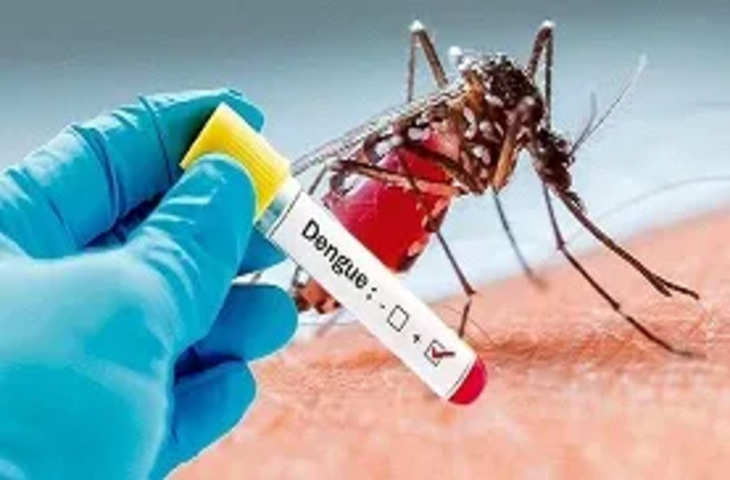 Samba जम्मू-कश्मीर में इस साल डेंगू के 6,000 से अधिक मामले दर्ज, 8 मौतें: अधिकारी