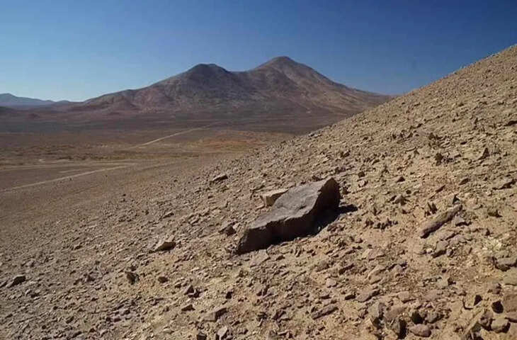 दुनिया के सबसे बंजर रेगिस्तान में खिले लाखों फूल! 'अटाकामा Desert' का ये अजूबा देख वैज्ञानिक भी हैरान