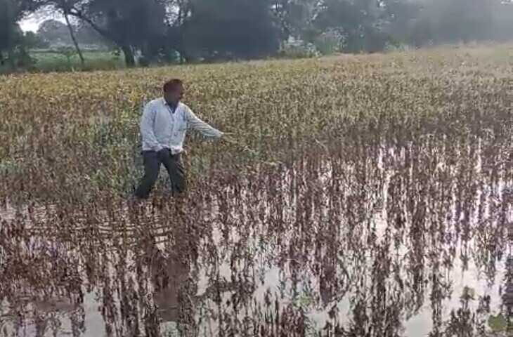 मौसम का कहर: MP, यूपी और अन्य राज्यों में बारिश का अलर्ट, हरियाणा के 7 जिलों में फसलों को नुकसान, यहाँ जाने ताजा हाल&nbsp;