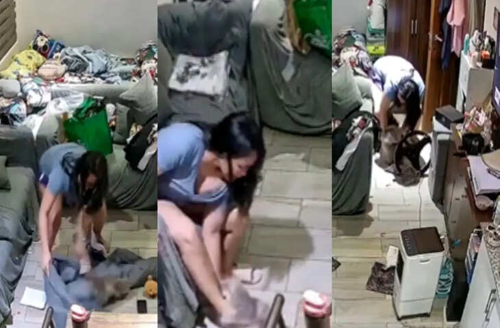 जापान में पालतू बिल्ली का महिला पर हमला, कमरे में फैला खून, वीडियो वायरल