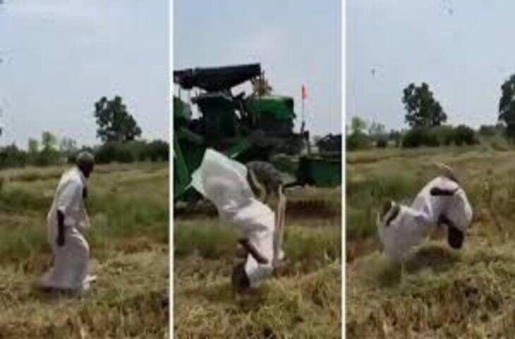 फसल कटते ही खुशी से झूम उठा किसान, खेत में ही करने लगा जोरदार डांस