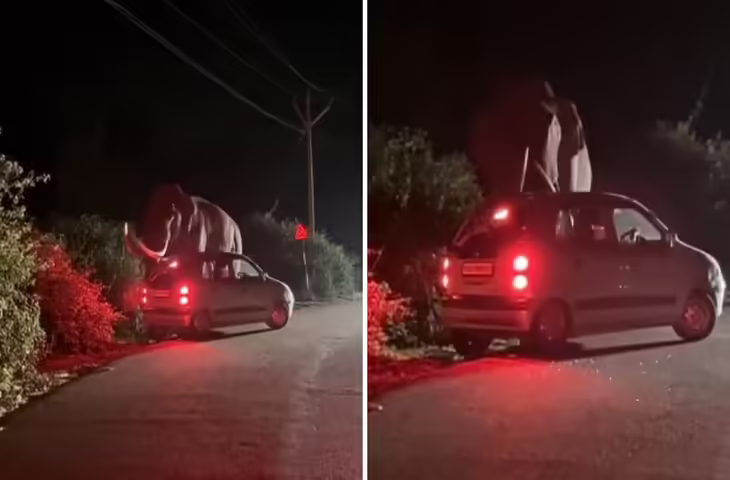 मौत के जबड़े से बची कार! विशालकाय गजराज ने जब खिलौने की तरह उछाल दी कार, ड्राईवर की बहादुरी का वीडियो वायरल&nbsp;