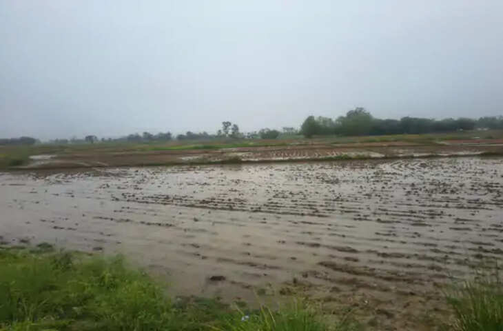 सिद्धार्थनगर में बारिश से भीषण गर्मी से राहत, तापमान में गिरावट