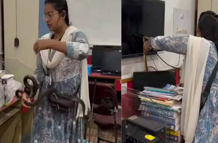  देखा, समेटा और कोबरा को काबू कर चल दी लड़की, दीदी की हिम्मत देख दंग रह गए लोग