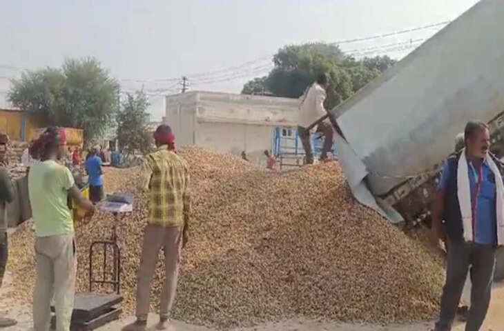 बीकानेर की मूंगफली पर गुजरात की डिमांड बढ़ी, वीडियो में जानें यूरोप और ​थाईलैंड तक होती है सप्लाई, कीमतों में उछाल