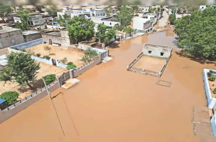 Nagaur 70-75 किमी प्रति घंटे की रफ्तार से चली हवा में पेड़ उखड़ गए