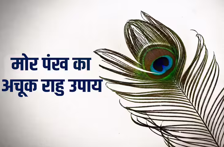 Rahu Dosh Upay: राहु की महादशा से हैं परेशान? मोरपंख के इन आसान उपायों से दूर हो सकती हैं बाधाएं, जानें सही तरीका