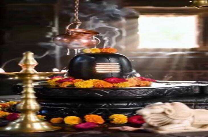 Sawan Rudrabhishek: सावन में किस द्रव्य से करें भगवान शिव का रुद्राभिषेक? जानें जल, दूध, गन्ने का रस और सरसों के तेल का धार्मिक महत्व
