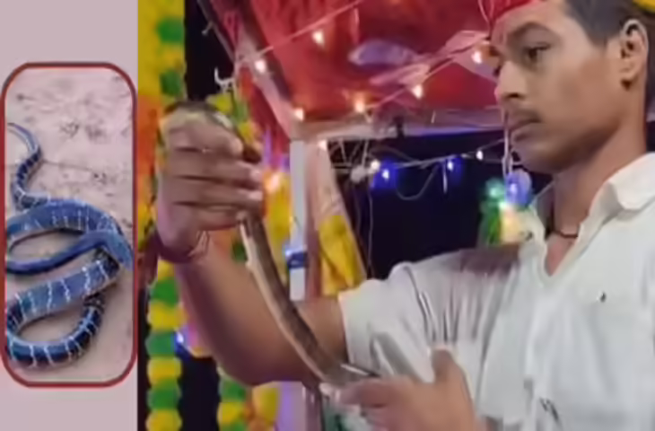 चित्तौड़गढ़: सांप के काटने से युवक की मौत के बाद वन विभाग ने शुरू किया जागरूकता अभियान