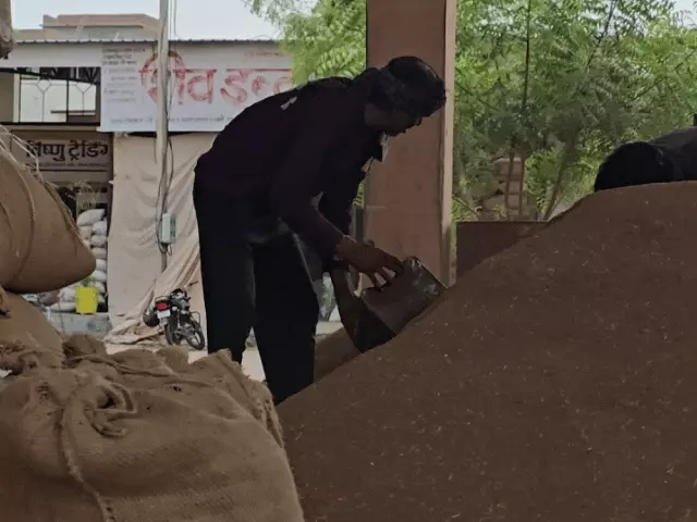 नागौर मंडी में मसाला फसलों में तेजी, जीरा स्थिर; सौंफ-इसबगोल में जोरदार उछाल, मूंग 1200 रुपए तक टूटी