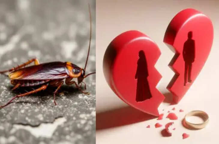 Valentine Day के मौके पर इस Zoo ने दिया अजब-गजब ऑफर!&nbsp;Ex से बदला लेने में कॉकरोचबिल्ली करेंगे मदद, जाने कैसे ?