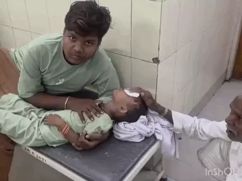 अलवर में आवारा कुत्ते का आतंक: 5 साल की बच्ची पर हमला, सिर में लगे 7 टांके