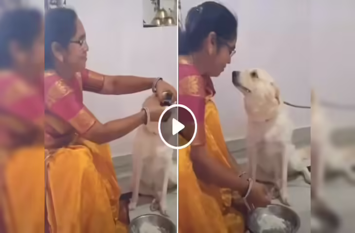 पहली कभी नहीं देखा होगा इंसान और कुत्ते का ऐसा बॉन्ड!&nbsp;महिला ने कुत्ते को बच्चे की तरह खिलाया दाल-चावल, देखे वीडियो&nbsp;