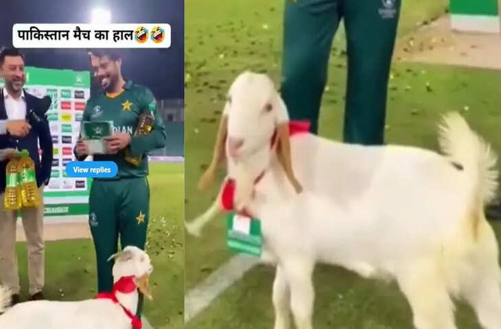 पाकिस्तान की कंगाली इन्टरनेट पर वायरल!&nbsp;मैन ऑफ द मैच को मिला बकरा और 2 बोतल तेल, वीडियो वायरल&nbsp;