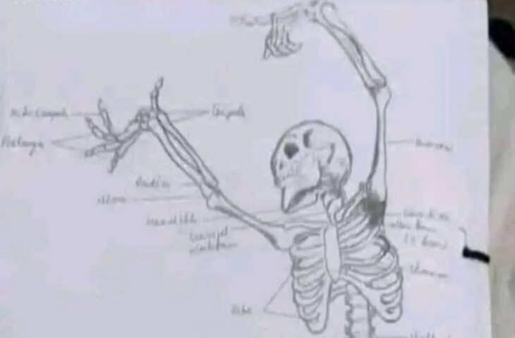 सोशल मीडिया पर वायरल हुई अनोखी फोटो, यूजर्स ने की जमकर तारीफ