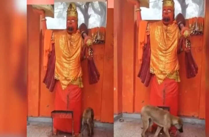Viral Video: हनुमान जी की मूर्ति के चक्कर लगाता रहा कुत्ता! भक्तों की लगी भीड़, लोगों ने लगा दिया भंडारा&nbsp;