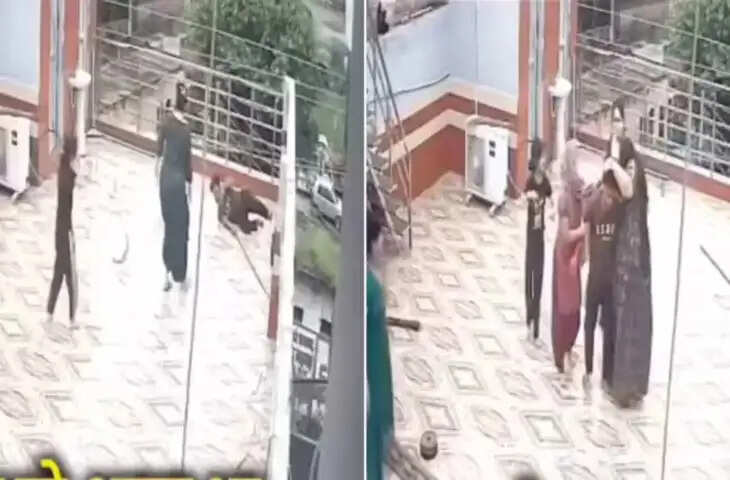 बंदर को भगाने में बंदे को लगा 11000V का झटका, फिर हुआ ऐसा चमत्कार, जिसकी किसी को नहीं थी उम्मीद