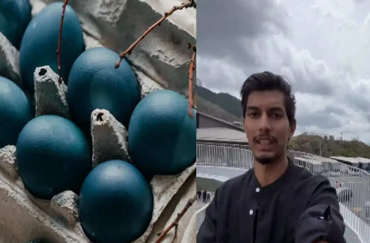 जापान के काले अंडे ने खींचा दुनिया का ध्यान, दावा- खाने से बढ़ती है 7 साल उम्र; जानिए वायरल ब्लैक एग्स की कहानी