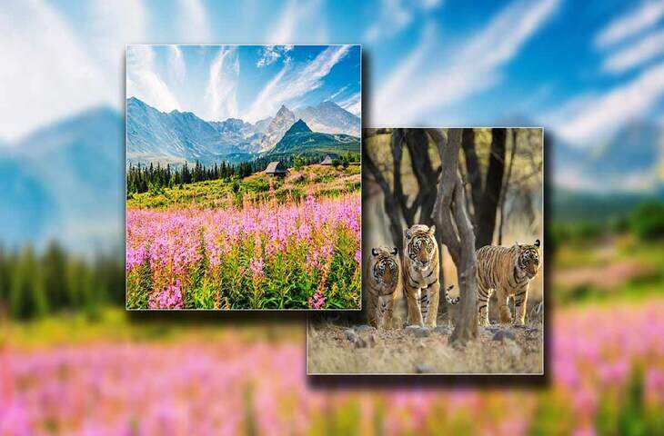 मानसून में किसी जन्नत से कम नहीं ये National Parks, एक बार जरूर करें सैर