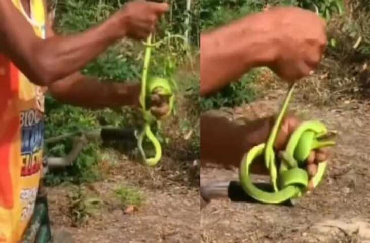 ताऊ की दबंगई देख सहम गए लोग! जिंदा सांप को पकड़कर बना दिया गोल-गोल रस्सा, वायरल वीडियो..