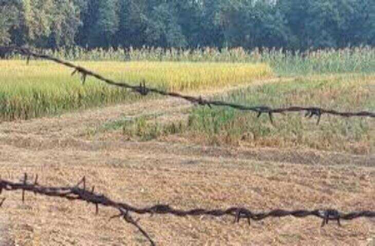 राजस्थान सरकार का बड़ा फैसला, अब छोटे किसानों को भी मिलेगा योजना का लाभ