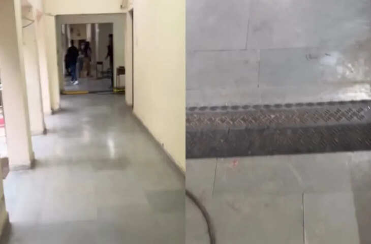 वायरल वीडियो पर छिड़ी हंसी और बहस, लोग बोले&mdash;देखकर रिएक्शन देना बनता