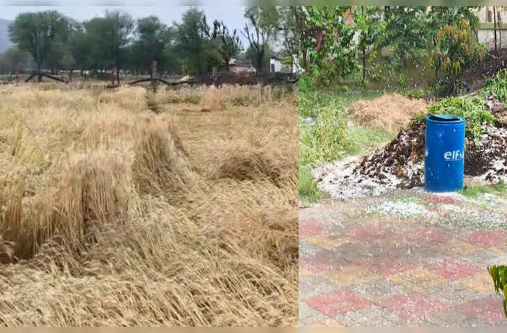 राजस्थान में मेघगर्जन के साथ बारिश, तापमान में गिरावट; कई इलाकों में फसल को नुकसान