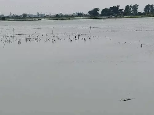 अमृतपुर में गंगा बाढ़ से हजारों बीघा फसल बर्बाद, 10 दिन से जलभराव; 8 से ज्यादा गांवों में बिजली ठप
