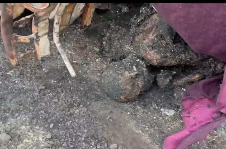 ट्रक और पिकअप में आमने-सामने भिड़ंत, दोनों वाहनों में लगी आग; पिकअप चालक की जिंदा जलने से मौत