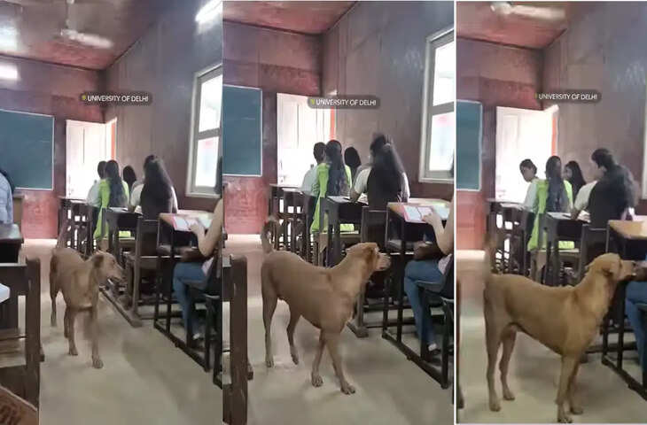 बच्चो के साथ क्लास अटेंड करने कक्षा में पहुंचा डोगेश भाई, वायरल वीडियो देख नहीं रुकेगी हंसी&nbsp;