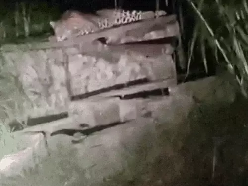 मुरादाबाद में फिर दिखा तेंदुआ, नलकूप के पास बैठा नजर आया; ग्रामीणों में दहशत