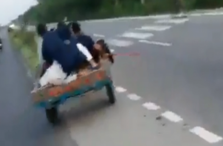 गाड़ी में लगे भैंसे को मार-मारकर भगा रहा था सवार, फिर आया जानवर को गुस्सा तो देखिए क्या हुआ