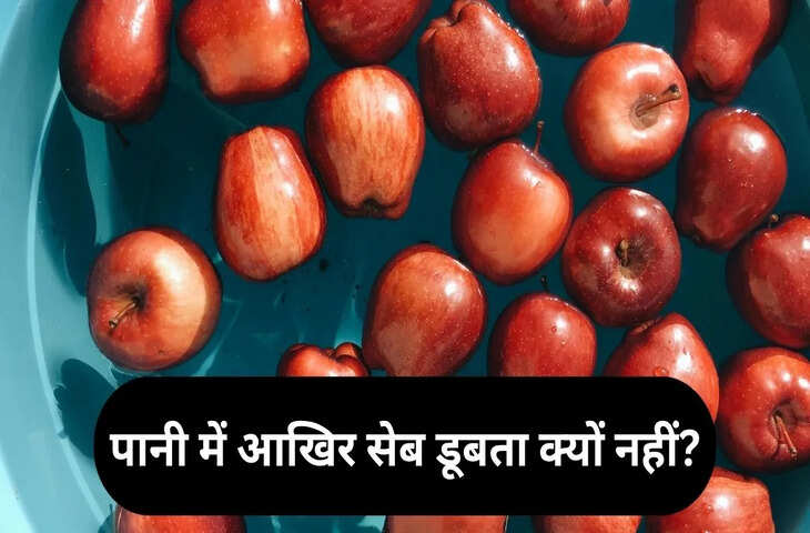 सेब पानी में डूबता क्यों नहीं? वजह जानकर आप भी कहेंगे- ये तो कभी सोचा ही नहीं