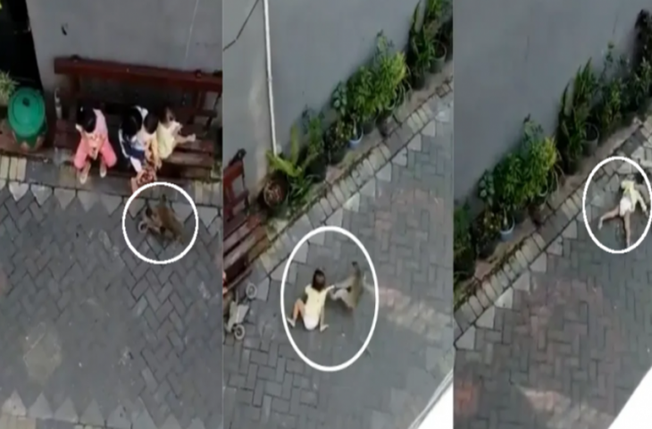 बाइक पर आया बंदर, घर के बाहर बैठे छोटे बच्चे को करने लगा किडनैप, वीडियो देखकर रह जाएंगे दंग