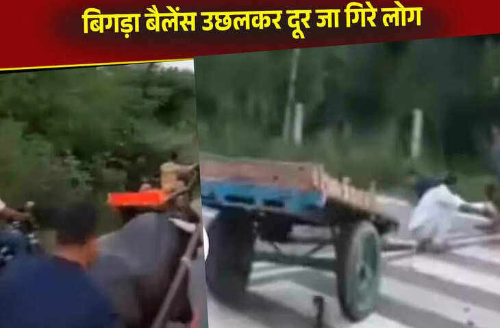 बंदे ने भैंसे को पूरी ताकत से दौड़ाकर लगाई रेस, अंत में बिगड़ा बैलेंस और हो गया खेल