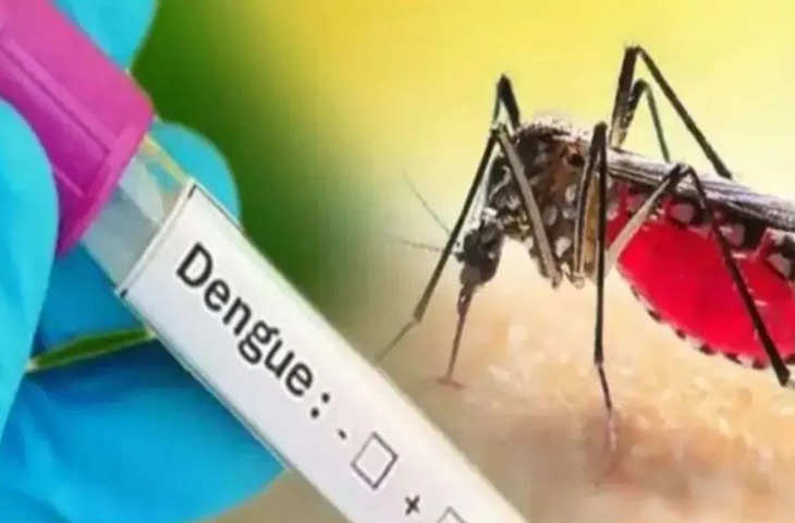 जाने क्या हैं डेंगू और वायरल फीवर के शुरुआती लक्षण,जाने दोनों में कैसे करें फर्क 