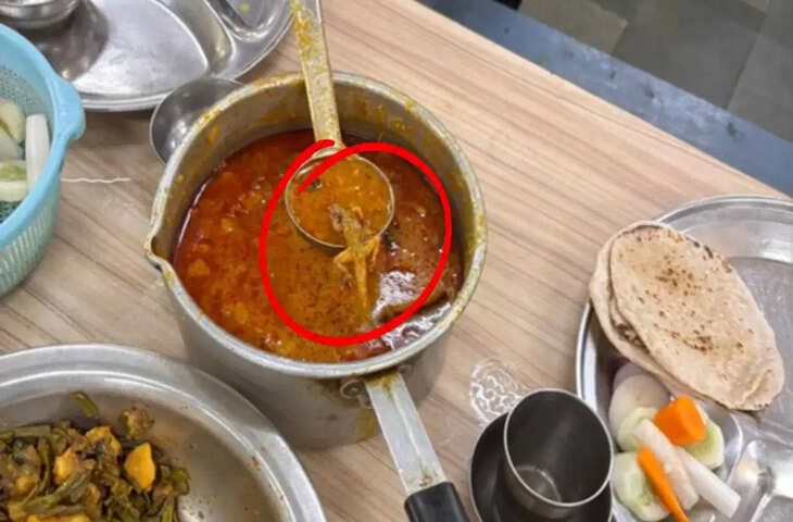BHU के डालमिया हॉस्टल में &lsquo;चिकन करी&rsquo; से निकली छिपकली, छात्रों का फूटा गुस्सा; मेस-कैंटीन बंद