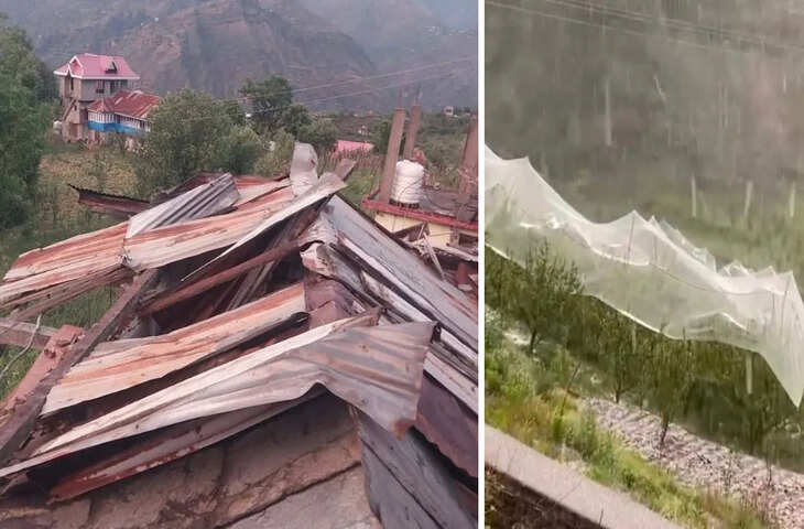 शिमला में तेज बारिश और ओलावृष्टि से जनजीवन प्रभावित, वीडियो में देखें सेब की फसल को भारी नुकसान