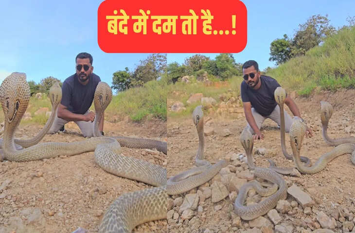 जब एक साथ 5 सांपों से हुआ शख्स का सामना, फिर देखिए क्या हुआ, चौंका देगा वीडियो