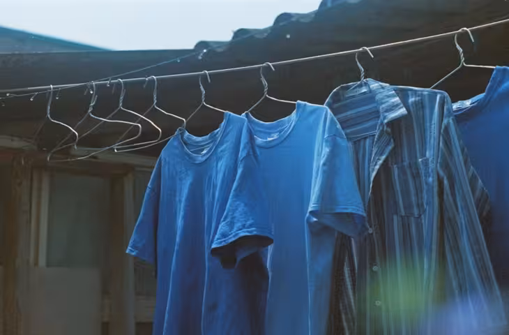 Vastu Tips for Clothes: क्या रात में खुले में कपड़े सुखाना सही है? जानें वास्तु और धार्मिक मान्यताओं के अनुसार सही तरीका