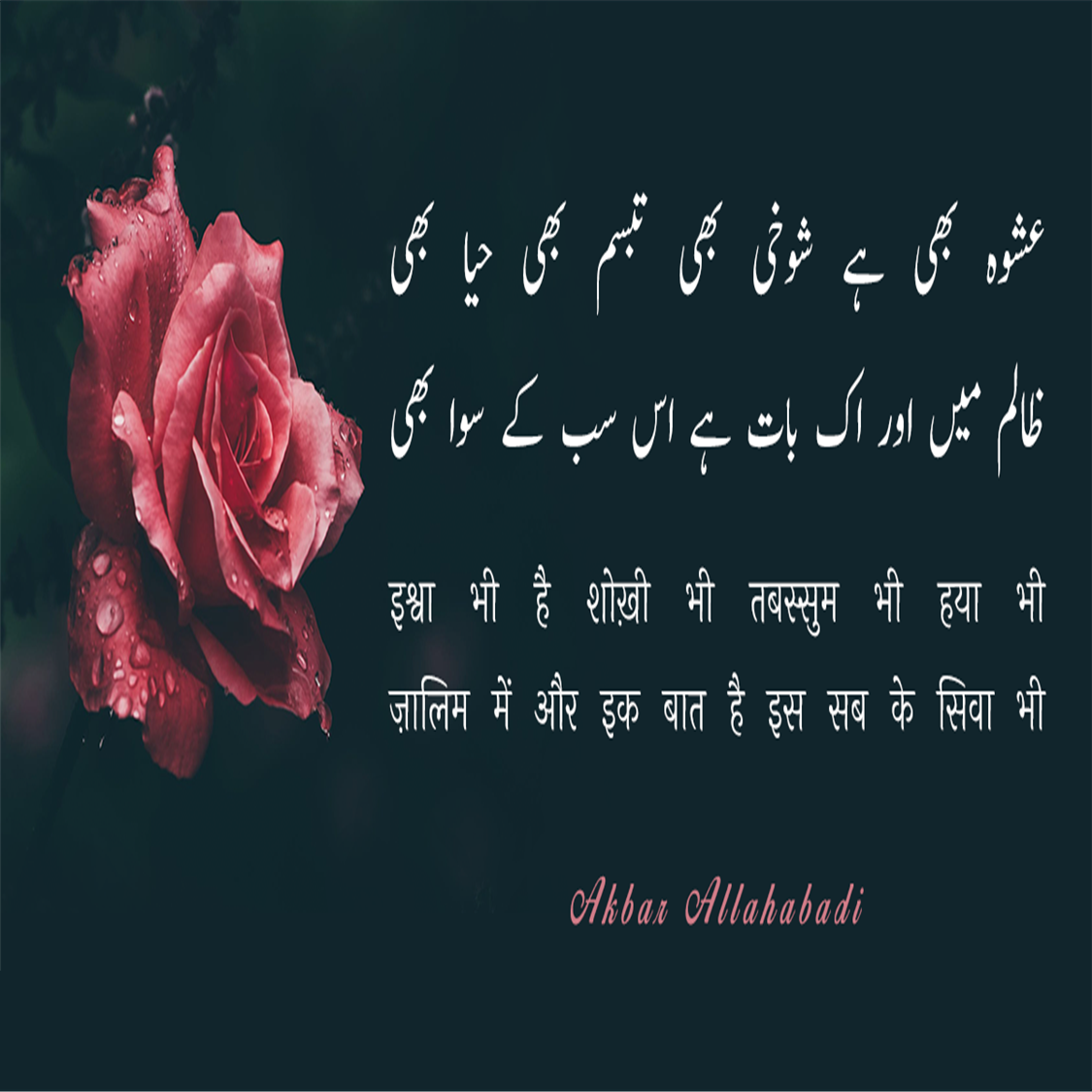 kbar Allahabadi Shayari In Hindi, urdu shayari in hindi, Akbar Allahabadi famous sher, Akbar Allahabadi biography, Akbar Allahabadi Shayari, उर्दू में व्यंग के बड़े शायर, अकबर इलाहाबादी के शेर, Akbar Allahabadi famous ghazal, Akbar Allahabadi Ke Sher, Akbar Allahabadi ghazal, Akbar Allahabadi News, famous ghazals, Hindi Sahitya News, Literature News, अकबर इलाहाबादी के शेर, अकबर इलाहाबादी की गजल, हिंदी साहित्य न्यूज, लिटरेचर न्यूज, Akbar Allahabadi Birth Anniversary, Akbar Allahabadi Ki Shayari, Akbar Allahabadi Books