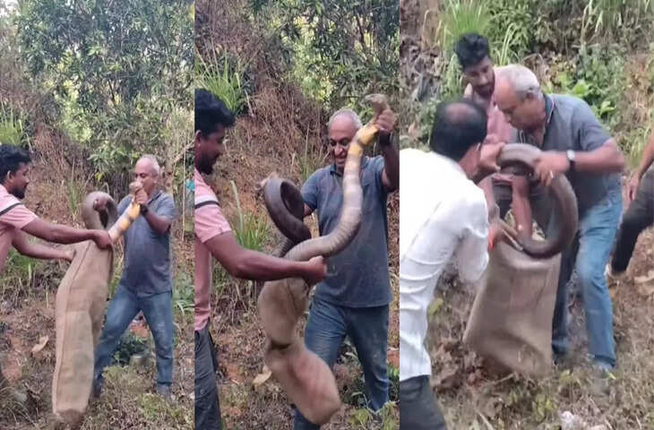 खतरनाक किंग कोबरा को बचाते हुए ऐसा नजारा, Viral Video देख आंखें रह जाएंगी फटी