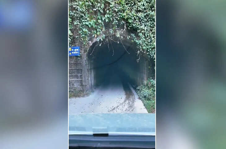 आखिर इस सुरंग के वीडियो में ऐसा क्या है, जो देख कांप गई लोगों की रूह
