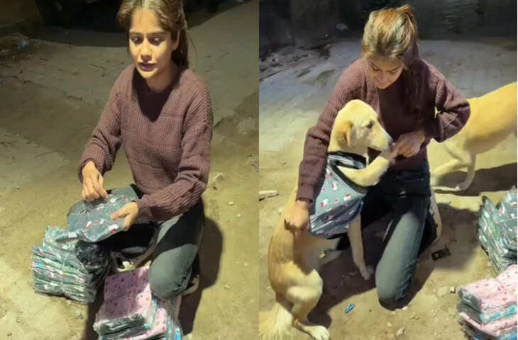 से ही कहते हैं इंसानियत! लड़की ने कुत्तों के लिए जो किया, उसे देख खुश हो गए लोग, Viral Video