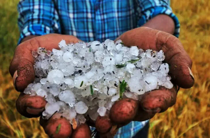 शेखावाटी और अलवर में बारिश और ओलों ने बढ़ाई सर्दी की चुनौतियां