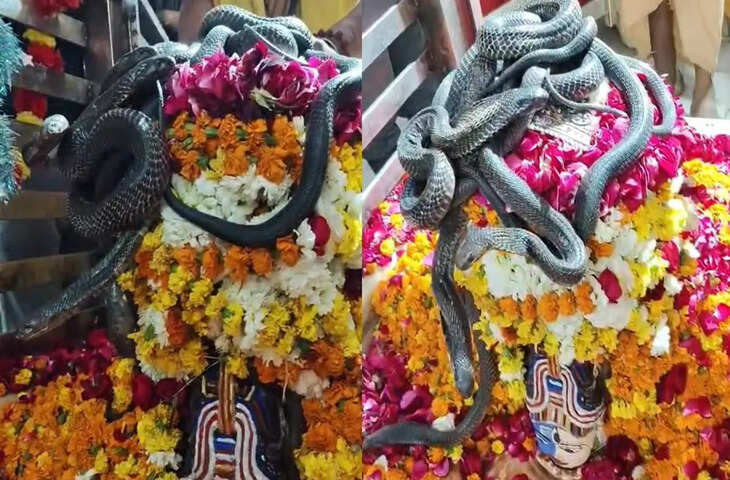 कानपुर का श्री नंदेश्वर धाम: जहां जीवित सांपों से होता है अर्धनारीश्वर शिवलिंग का श्रृंगार