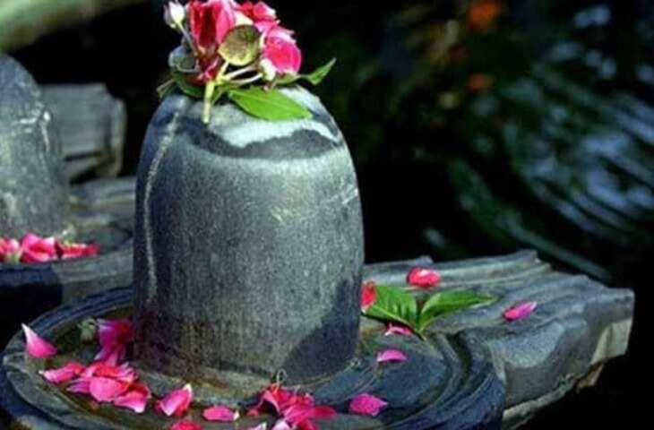 Monday Shiv Puja: भोलेनाथ को प्रसन्न करने के लिए सोमवार के दिन शिवलिंग पर जरूर चढ़ाएं ये 8 शुभ वस्तुएं, पूरी होंगी मनोकामनाएं