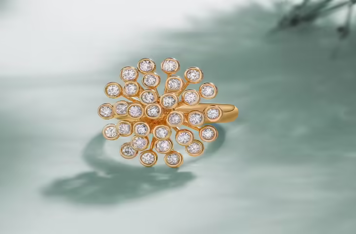 Diamond Ring Rules: हीरे की अंगूठी पहनने से पहले जान लें ये जरूरी नियम, नहीं तो मिल सकता है विपरीत प्रभाव